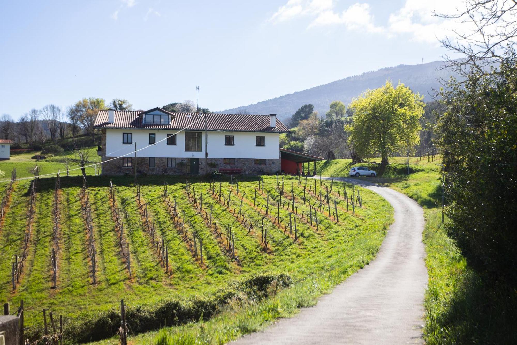 Basarte Cottage Bakio Eksteriør billede
